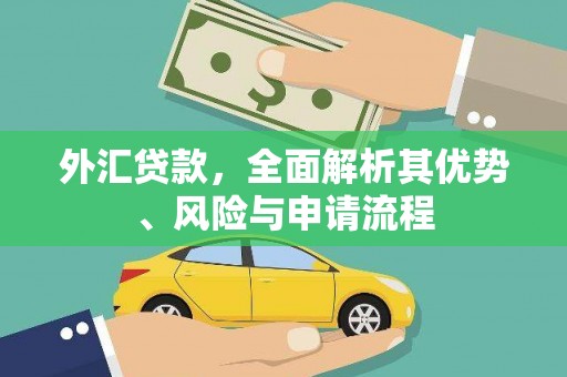 青秀外汇贷款，全面解析其优势、风险与申请流程