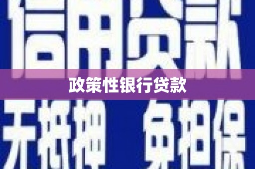 青秀政策性银行贷款