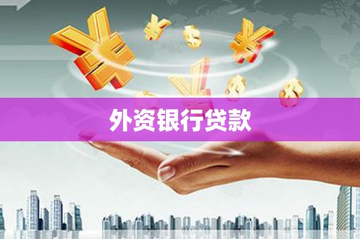 青秀外资银行贷款