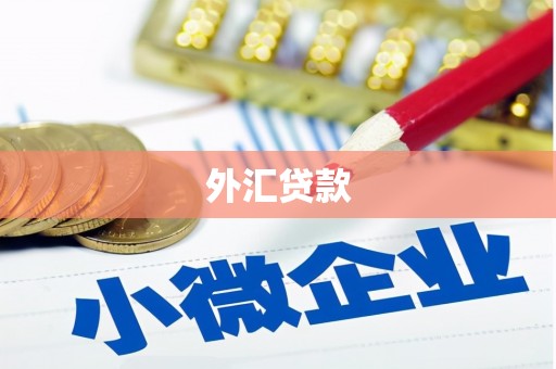 青秀外汇贷款