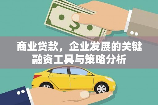 青秀商业贷款，企业发展的关键融资工具与策略分析