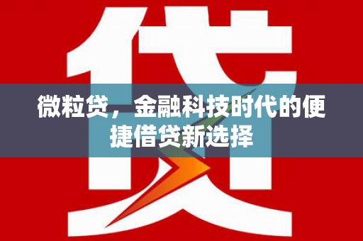 青秀微粒贷，金融科技时代的便捷借贷新选择