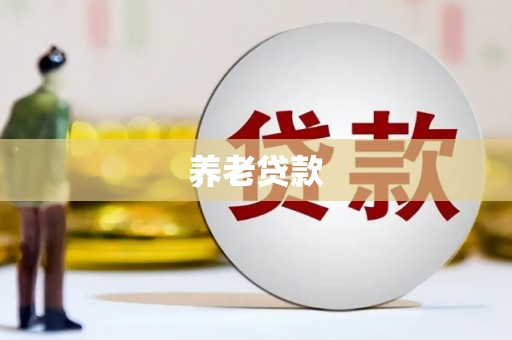 青秀养老贷款
