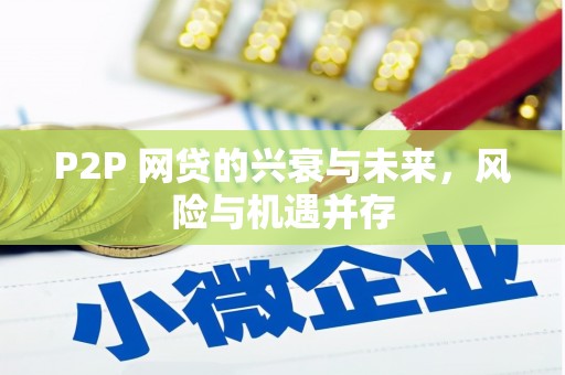 青秀P2P 网贷的兴衰与未来，风险与机遇并存