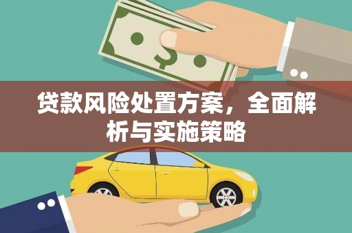 青秀贷款风险处置方案，全面解析与实施策略