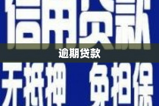 青秀逾期贷款